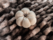 Load image into Gallery viewer, Harvest Knit Pumpkin