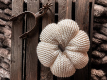 Load image into Gallery viewer, Harvest Knit Pumpkin