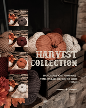 Load image into Gallery viewer, Harvest Knit Pumpkin