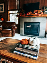 Load image into Gallery viewer, Harvest Knit Pumpkin