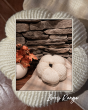 Load image into Gallery viewer, Harvest Knit Pumpkin