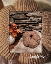 Load image into Gallery viewer, Harvest Knit Pumpkin
