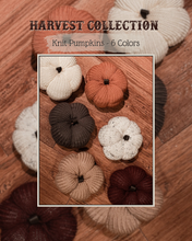 Load image into Gallery viewer, Harvest Knit Pumpkin
